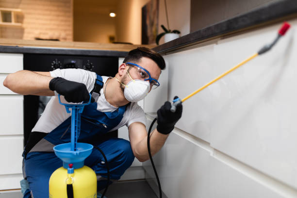 Best Local Pest Control Services  in Lake Waynoka, OH