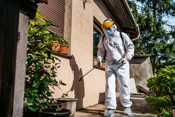 Best Affordable Pest Control Services  in Lake Waynoka, OH
