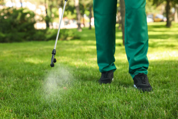 Best Exterminator Services  in Lake Waynoka, OH