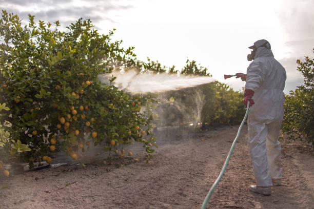 Best Pest Prevention Services  in Lake Waynoka, OH