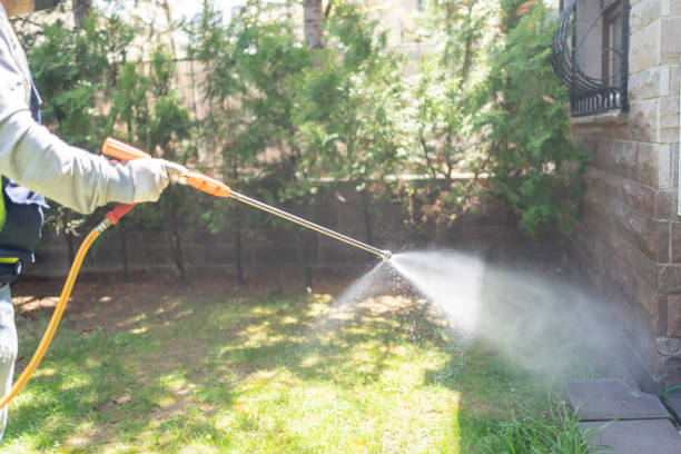 Spider Control Near Me in Lake Waynoka, OH