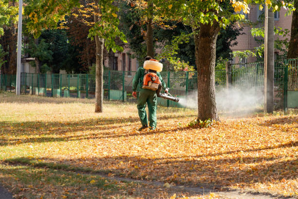 Best Best Pest Control Companies  in Lake Waynoka, OH