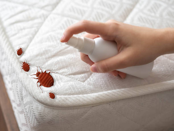 Best Pest Removal Services  in Lake Waynoka, OH